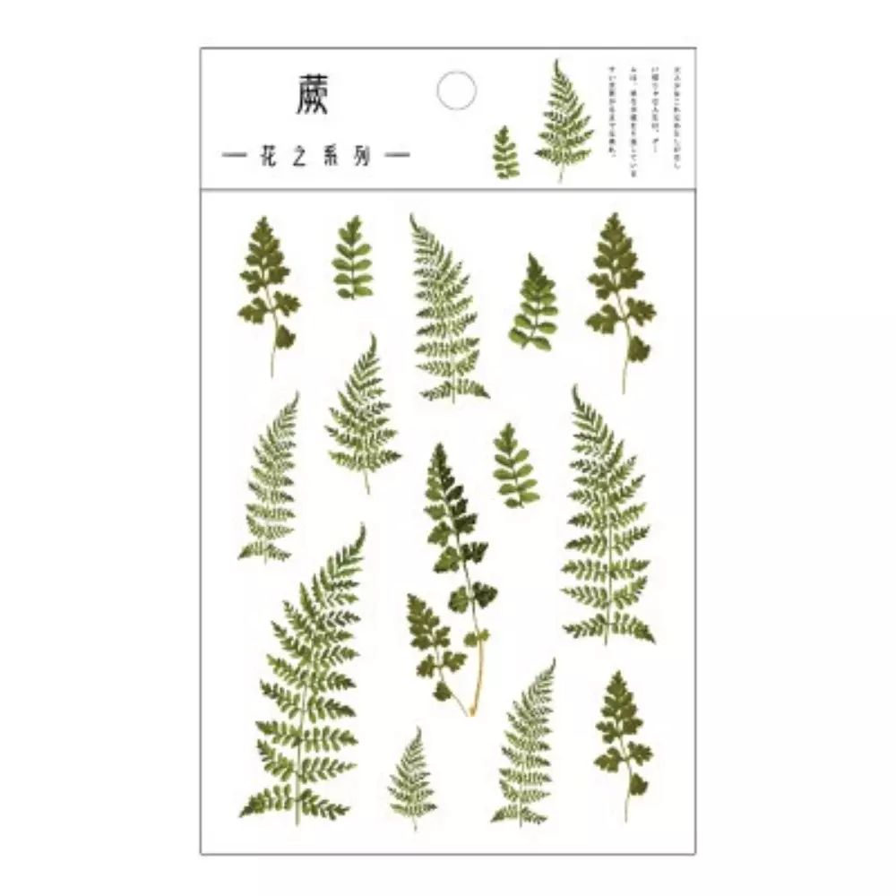 Fern