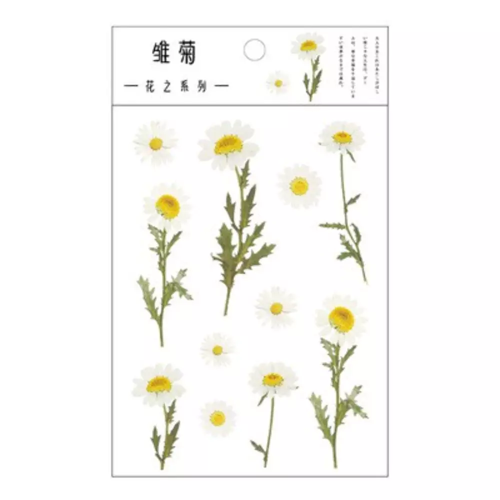 Daisy