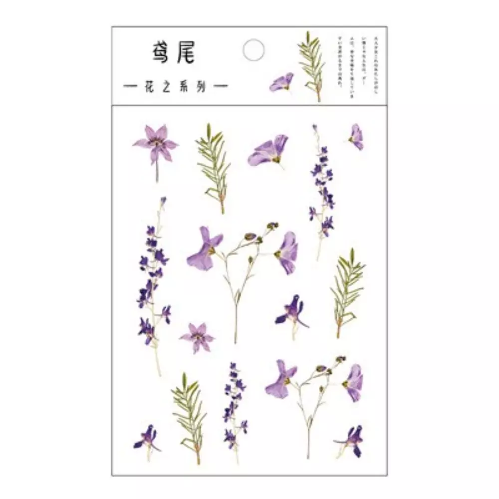 Iris