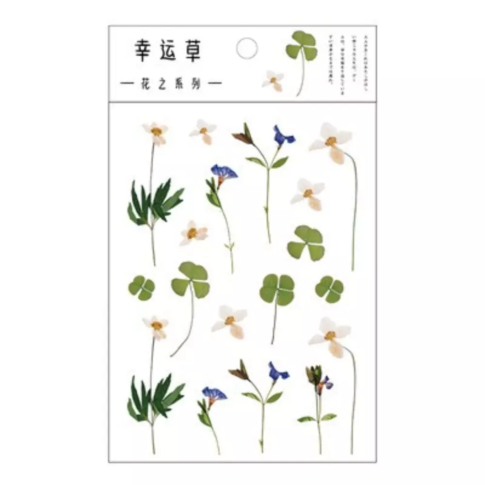 Lucky Clover
